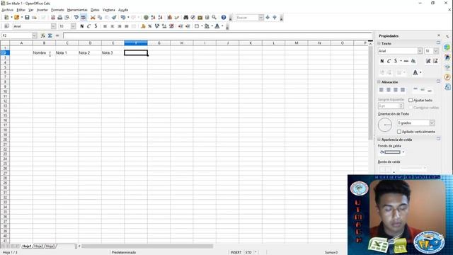 Uso de Microsoft Excel y OpenOffice Calc смотреть онлайн