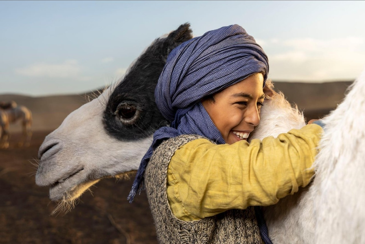 Принц пустыни ? Русский трейлер ? Фильм 2023 смотреть онлайн