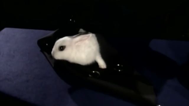 5 Разоблачений Самых Известных Фокусов смотреть онлайн