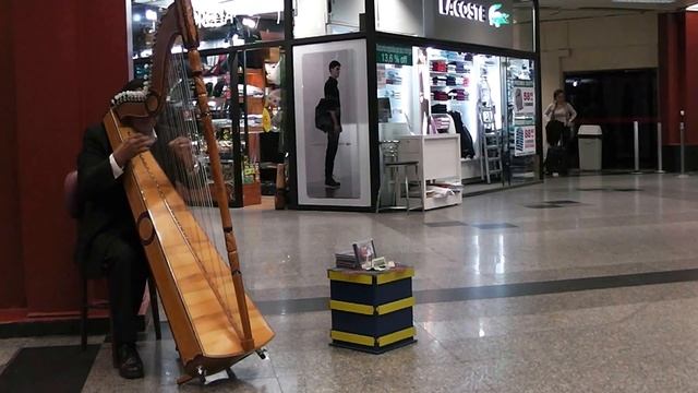 Panasonic HDC-SD40 - Américo Cañete - Airport Harpist (1) смотреть онлайн