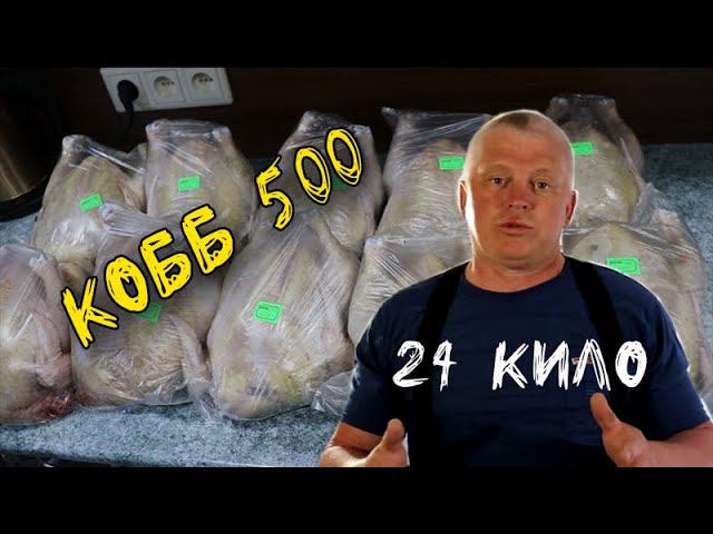 Бройлер Кобб 500 Полтора месяца Вес шокирует смотреть онлайн