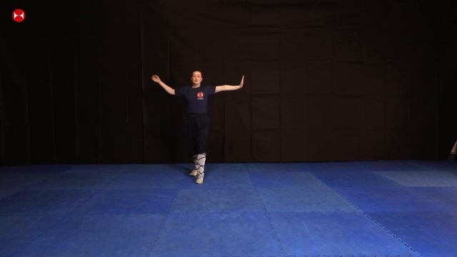 Xiao Luo Han Class 10 | Small Arhat Fist | Learn Kung Fu Online | Free Kung Fu Classes смотреть онлайн