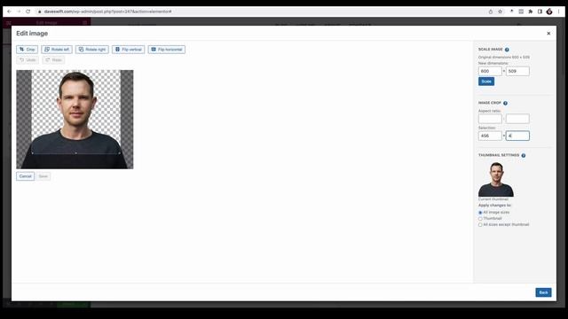 How to create a WordPress website with Elementor Cloud смотреть онлайн