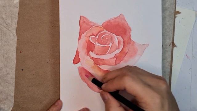 How to paint watercolour flower rose | watercolour & colour pencil | easy way to paint смотреть онлайн