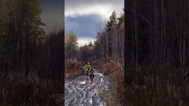 Мужчины тоже плачут когда хотят мотоциклы #motoscout124 #enduro #gr8 #2t смотреть онлайн