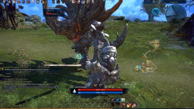 TERA: The Exiled Realm of Arborea (PC) gameplay смотреть онлайн