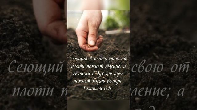 Доброй ночи!Христианское пожелание!