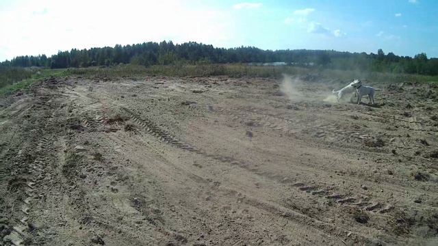 Планировка участка под ангар 21 на 9 смотреть онлайн