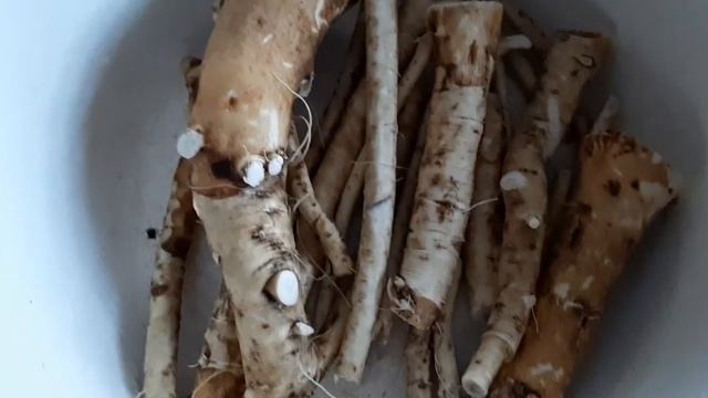 Уборка для самых взыскательных