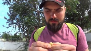 Кемер в начале мая. Перелёт с младенцем.