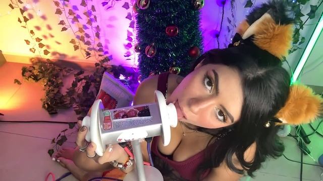ASMR POV CATS PERSONAL BEST LICKS | EYE CONTACT ARA ARA смотреть онлайн