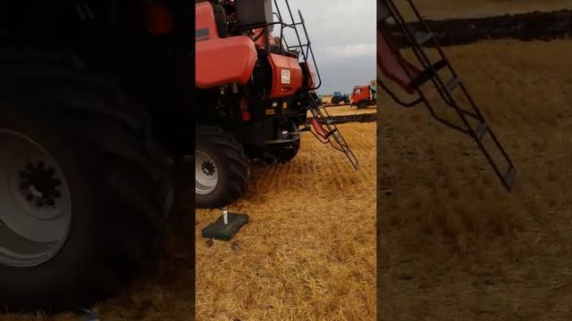 РЕМОНТ КОМБАЙНА КЕЙС В ПОЛЕВЫХ УСЛОВИЯХ смотреть онлайн