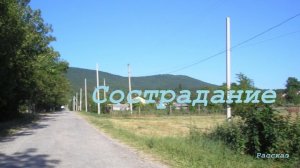 Сострадание.. (рассказ)