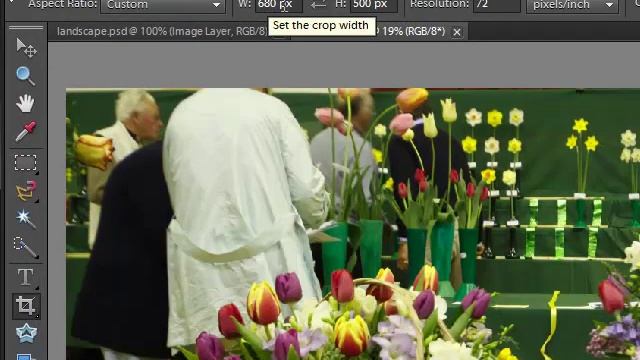 Adobe Photoshop Elements 10 - Tutorial 1 смотреть онлайн