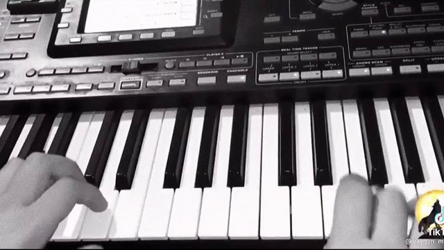 —Волки мы в ночных лесах ( 🎹 )#волкимывночныхлес смотреть онлайн