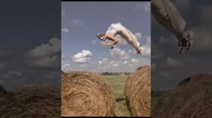 как найти друзей терианов/квадроберов?? || мейкун 🐾