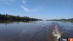 Мотор болотоход с гибким валом 6.5. вверх по Вятке 1