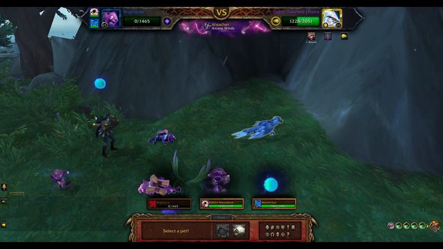 World of Warcraft: WORLD PET BATTLE | FLOOD WARNING | HOW TO BEAT FLOW смотреть онлайн