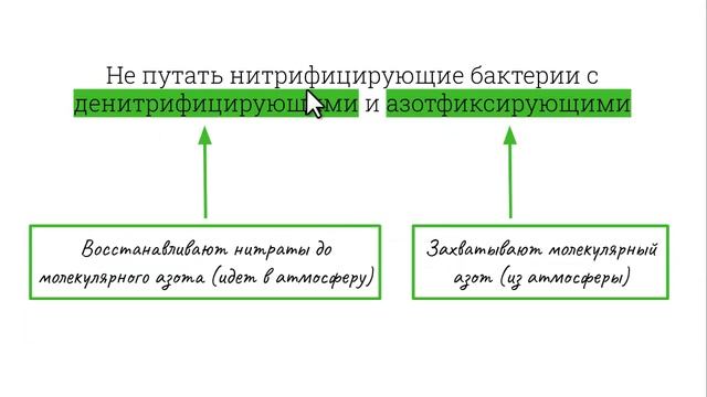 ХЕМОСИНТЕЗ смотреть онлайн