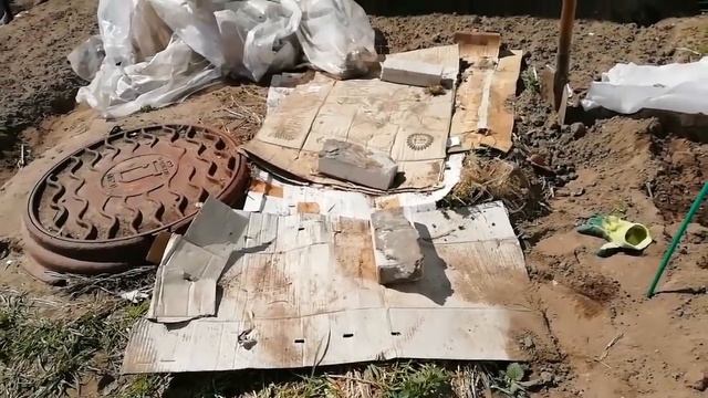 Высадка рассады ТЫКВ и КАБАЧКОВ в грунт. смотреть онлайн