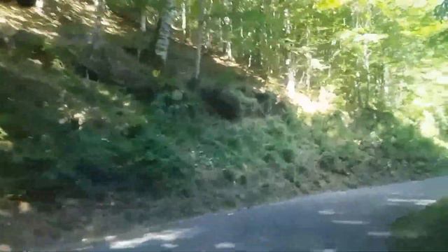 Дорога по национальному парку Биоградская гора к озеру смотреть онлайн