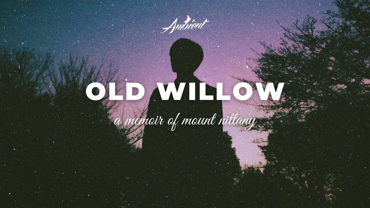 a memoir of mount nittany - old willow [meditation relaxing ambient] смотреть онлайн