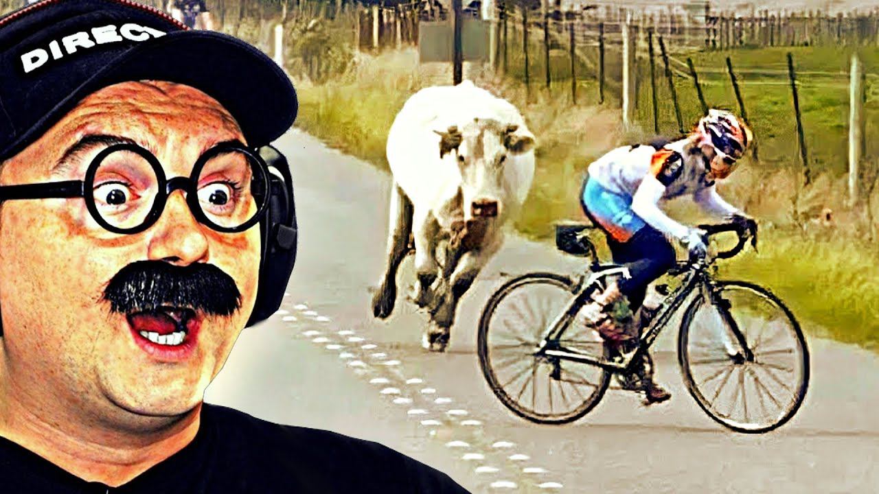 ВЕСЕЛЫЕ ВИДОСИКИ которые ПОДНИМАЮТ НАСТРОЕНИЕ 9 смотреть онлайн