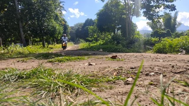 New Suzuki Skydrive Crossover 115CC 2021 | PracticalGeek #Suzuki #SkydriveCrossover #OffroadScooter смотреть онлайн