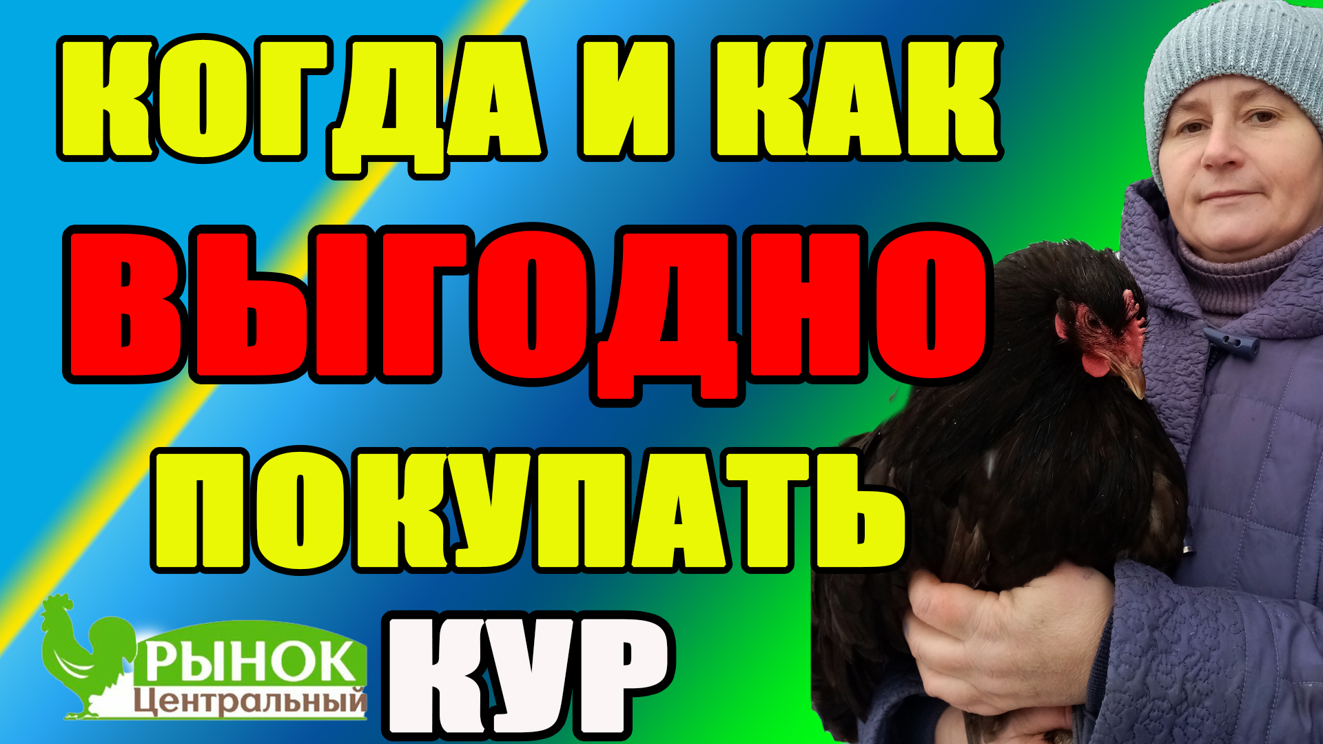 Когда и как ВЫГОДНО покупать кур. Мои СЕКРЕТЫ при покупке кур и цыплят. смотреть онлайн