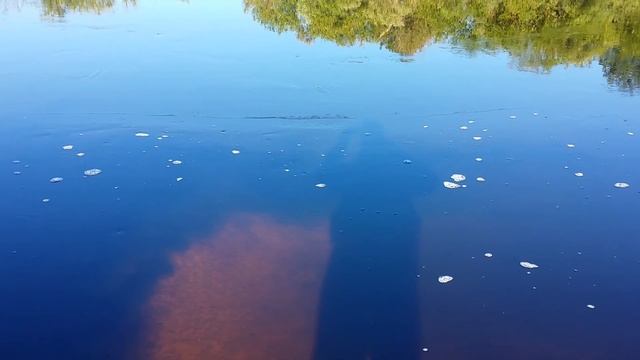 Сброс в речку Каспля (Смоленская область) смотреть онлайн