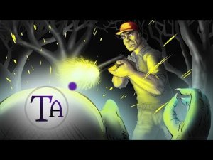Kelly Hopkinsville Encounter, The Goblin «Invasion» of 1955