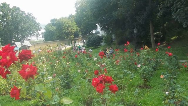 Святая Киево-Печерская Лавра -празднование св. Владимира смотреть онлайн