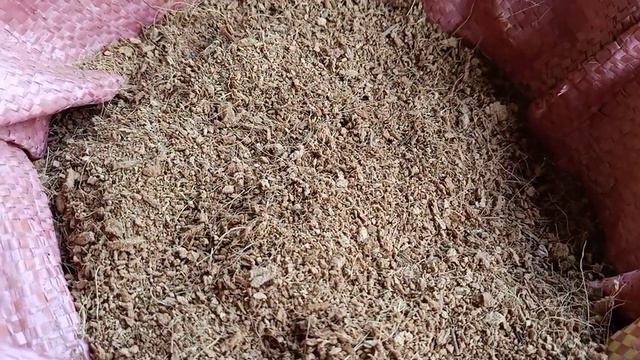 Cách gieo hạt hoa huệ nhanh nảy mầm. / Thanh Thủy HB смотреть онлайн