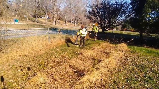 Fall Cleanup & Leaf Removal !!/ Fall Work / Hedge Trimming / Oddly Satisfying / SPECIAL THANKS !!! смотреть онлайн