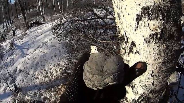 З.К.тв. ( Зеленое море тайги) выпуск 3 выезд в лес смотреть онлайн