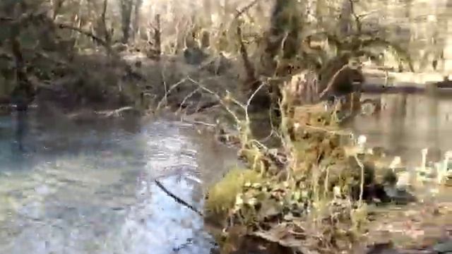 Абхазия .Аацинские водопады ( 2) смотреть онлайн
