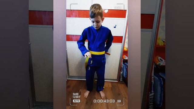 Как правильно завязать пояс #bjj #борьба #джиуджитсу #sports #live смотреть онлайн