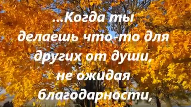 мудрые мысли2 смотреть онлайн