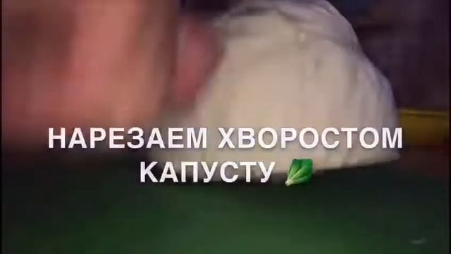 #РЕЦЕПТ ПЕРВОГО БЛЮДА ЩИ С БОЛГАРСКИМ ПЕРЧИКОМ #готовимдома