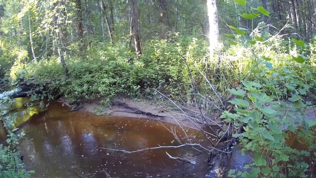 Мормышинг может быть добычлив? Елец на спиннинг. смотреть онлайн