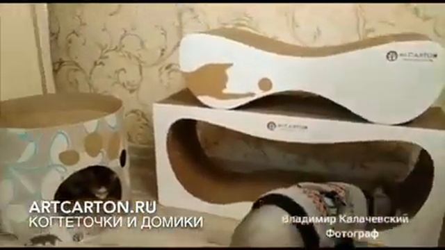 В дом пришли новые когтеточки ARTCARTON смотреть онлайн