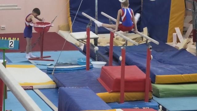 Спортивная гимнастика. Добрыня  на брусьях.