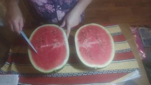 Арбуз Бедуин F1 Нижегородская область Семёновский район