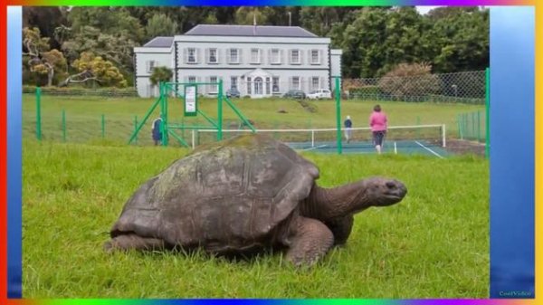 В поисках Дори в Реальной Жизни! Персонажи мультфильма!