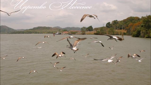 Будьте все свободны 30.06.2019 смотреть онлайн