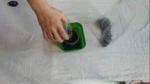 Посадка семян Азимины