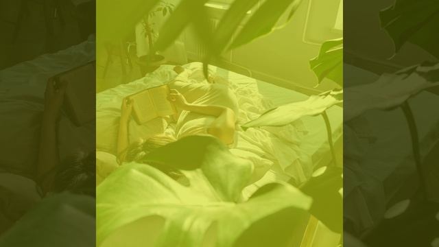 Видения (Книги) смотреть онлайн