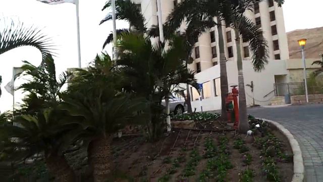 Территория нашего отеля на Мёртвом море июнь 13г Жара 40 градусов смотреть онлайн