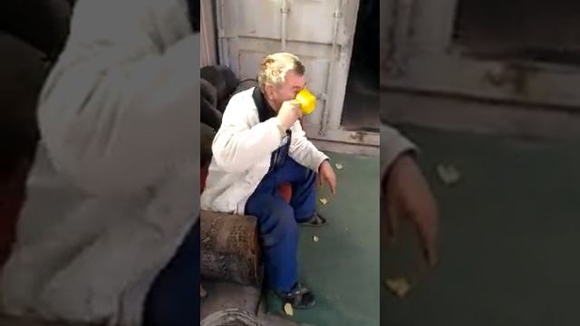 Мужик пьет моторное масло(2) смотреть онлайн