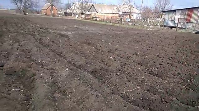 Картофель 2017 смотреть онлайн